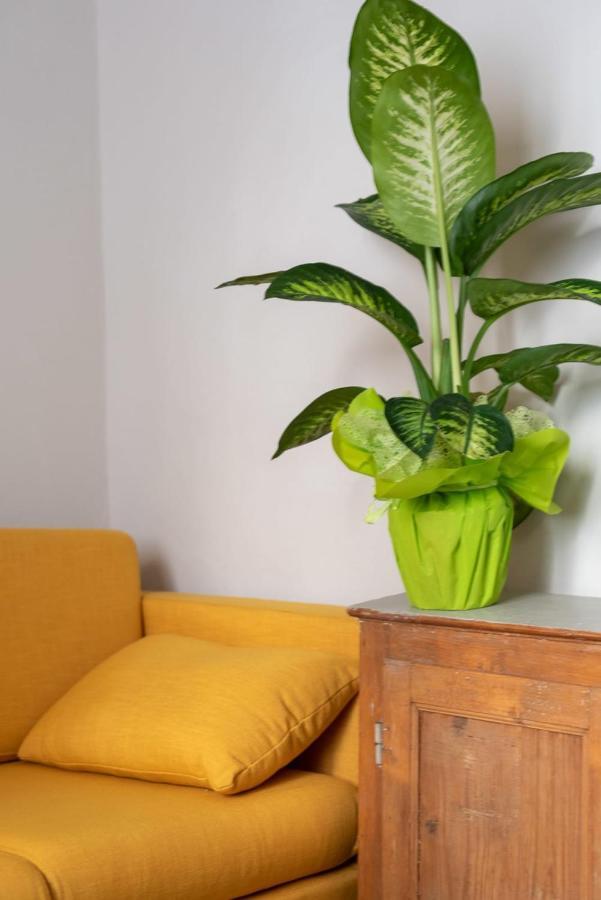 San Zanobi Family Suite In Floransa Dış mekan fotoğraf